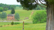 PICTURES/Manassas National Park - Virginia/t_Across Lee Rd to Stone House1.JPG